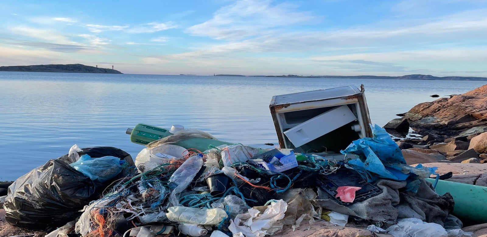 Suntribe´s Interview with CleanSea