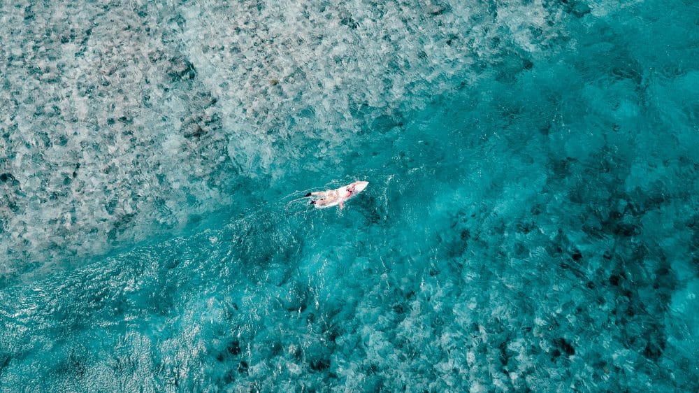 Why Eight Destinations Worldwide Banned Toxic Sunscreen Chemicals