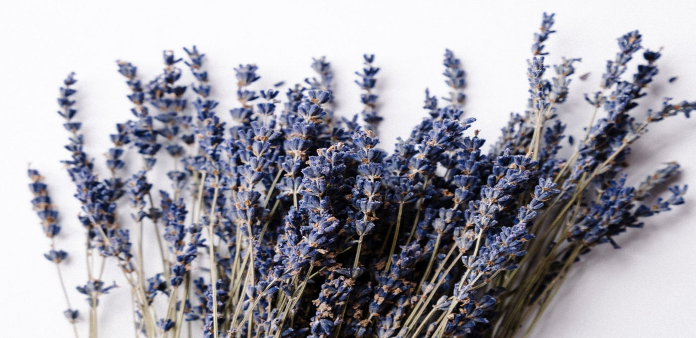 The dangers of synthetic fragrances