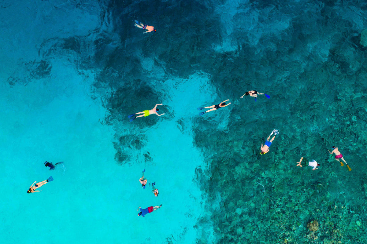 Can Coral Reefs Recover? Here's What Coral Restoration Looks Like