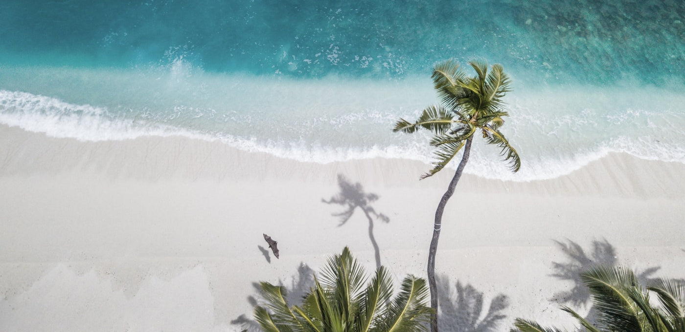 11 Toxic Sunscreen Ingredients to Avoid in 2026