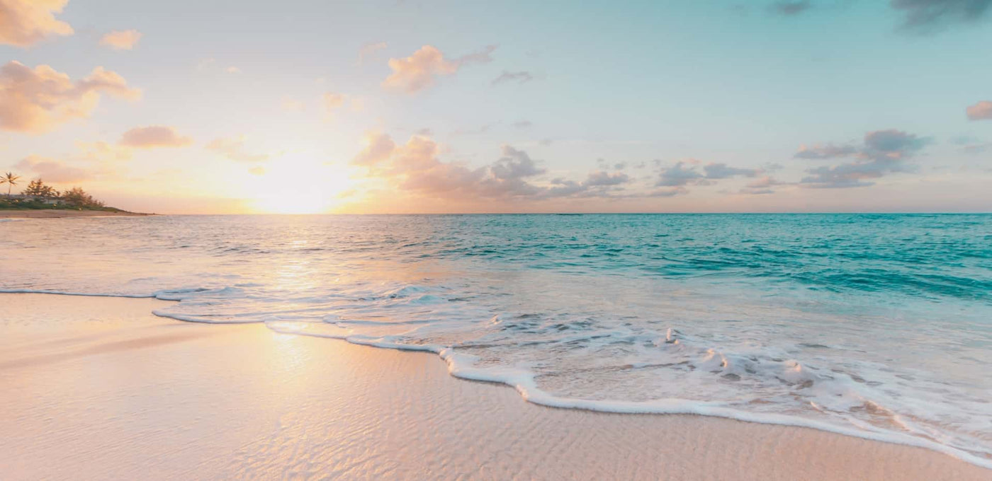 Part 1 - The Problem with Chemical Sunscreens / Interview with Craig Downs