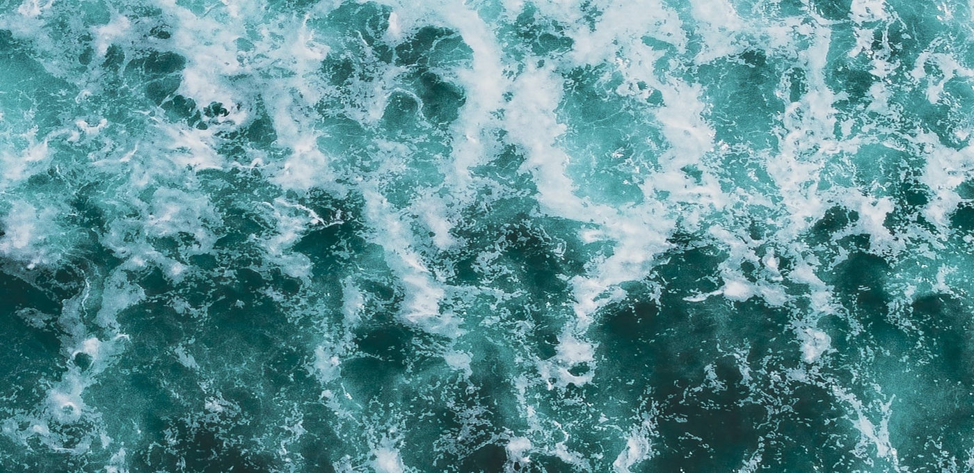 Part 3 - Why our Oceans Are So Important / Interview with Craig Downs