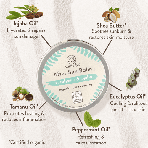 Organic After Sun Balm Eucalyptus & Jojoba