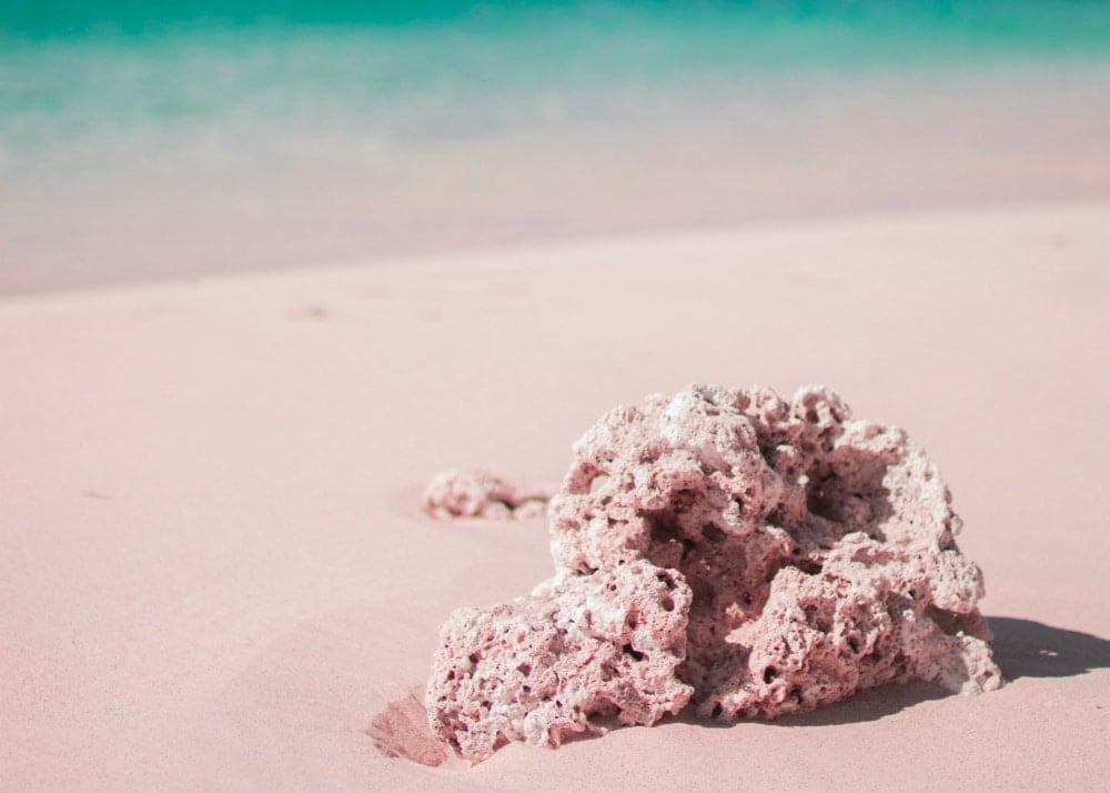 5 Reasons Why You Should Pick a Mineral Sunscreen