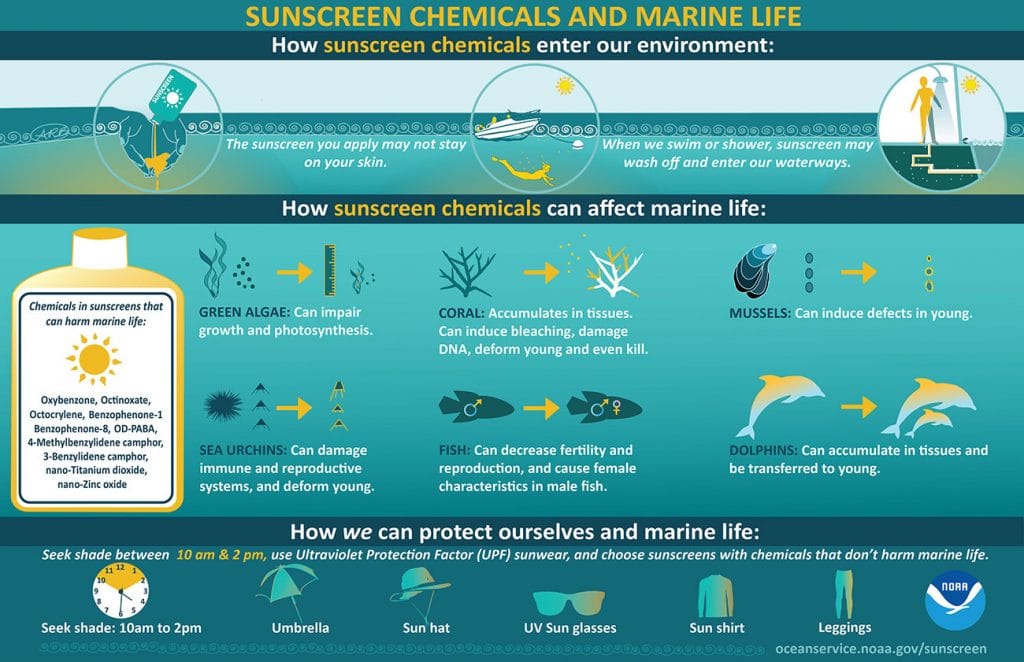 Sunscreen chemicals and marine life