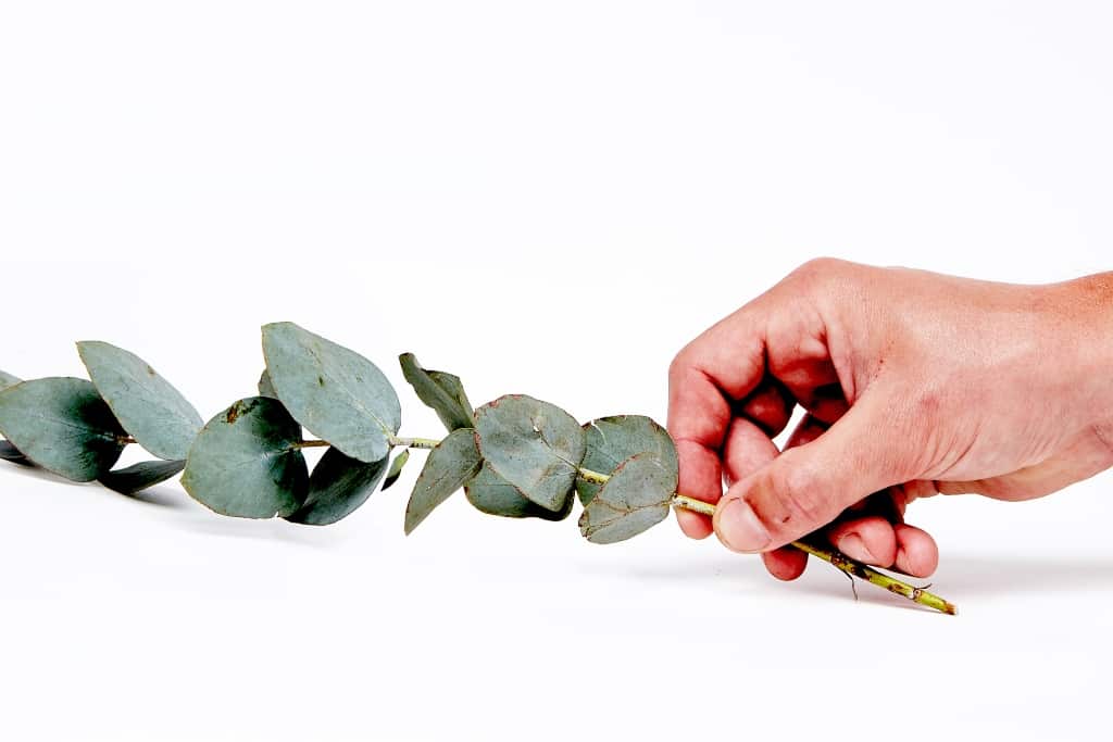 How to Switch to Natural Beauty Products