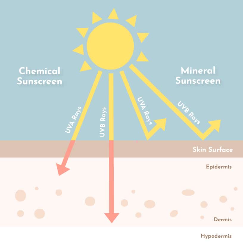 What is the difference between chemical & mineral sunscreens?