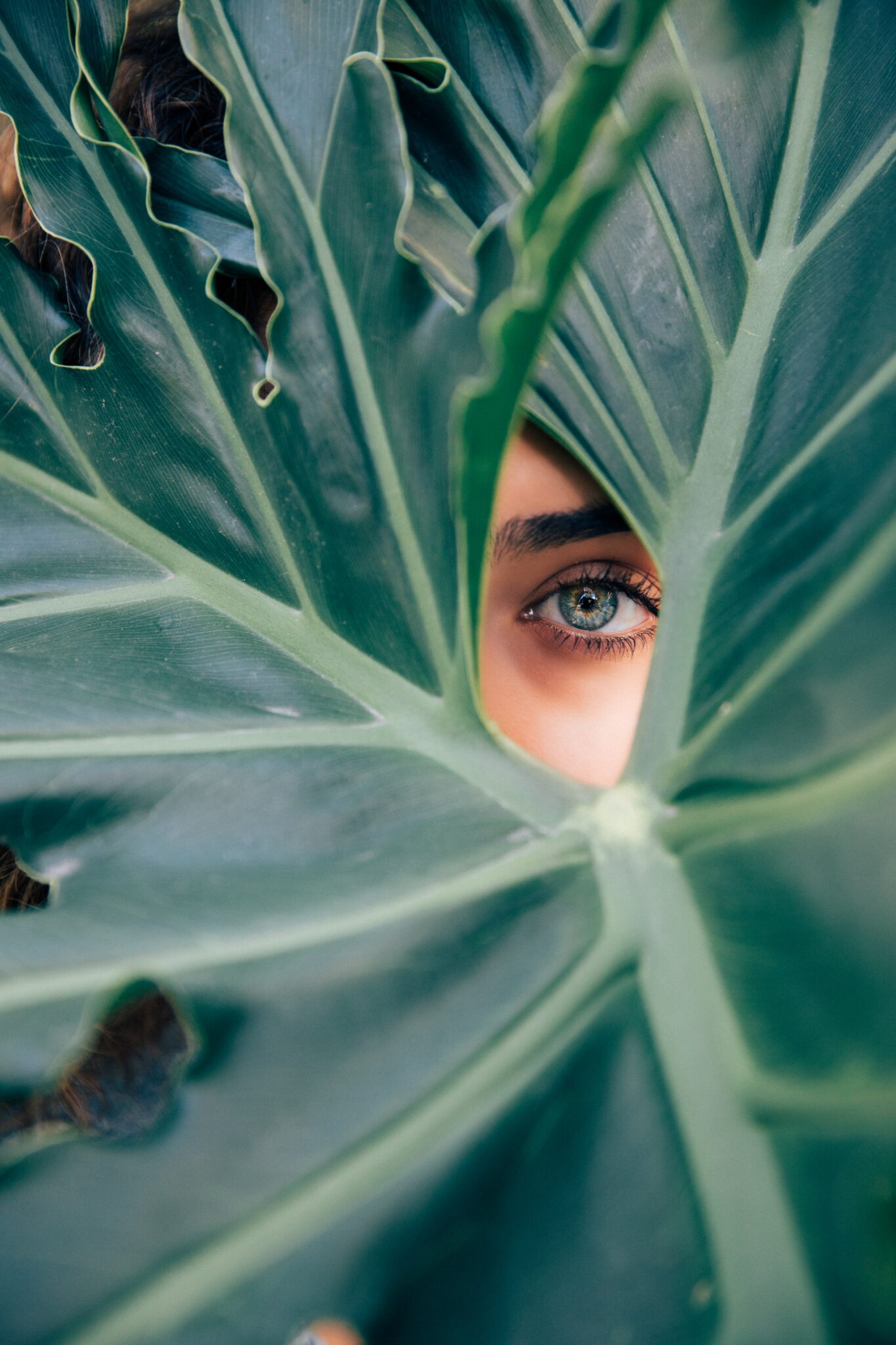 Mehr über den Artikel erfahren Greenwashing in the sunscreen industry: What you need to know and how to avoid It