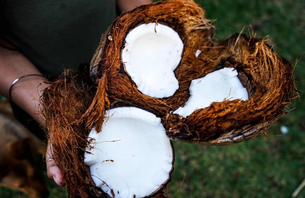 Suntribe Blog tip natural oils – coconut Coconut Oil - a natural and organic ingredient